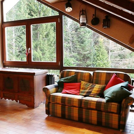 Fewo Schwarzwaldblick, 3 Schlafzimmer Todtnau-Muggenbrunn, Liftverbund Feldberg Extérieur photo