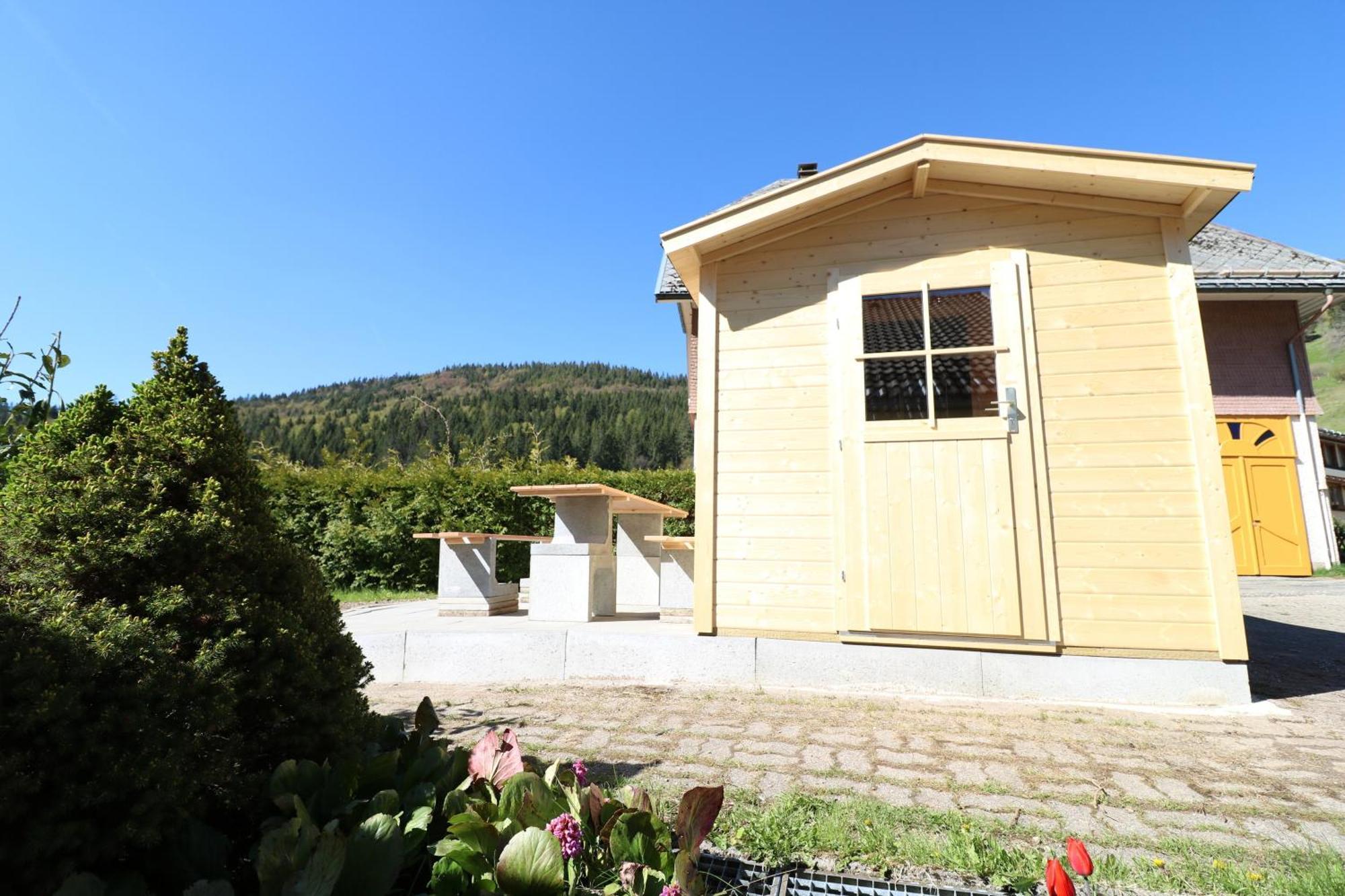Fewo Schwarzwaldblick, 3 Schlafzimmer Todtnau-Muggenbrunn, Liftverbund Feldberg Extérieur photo