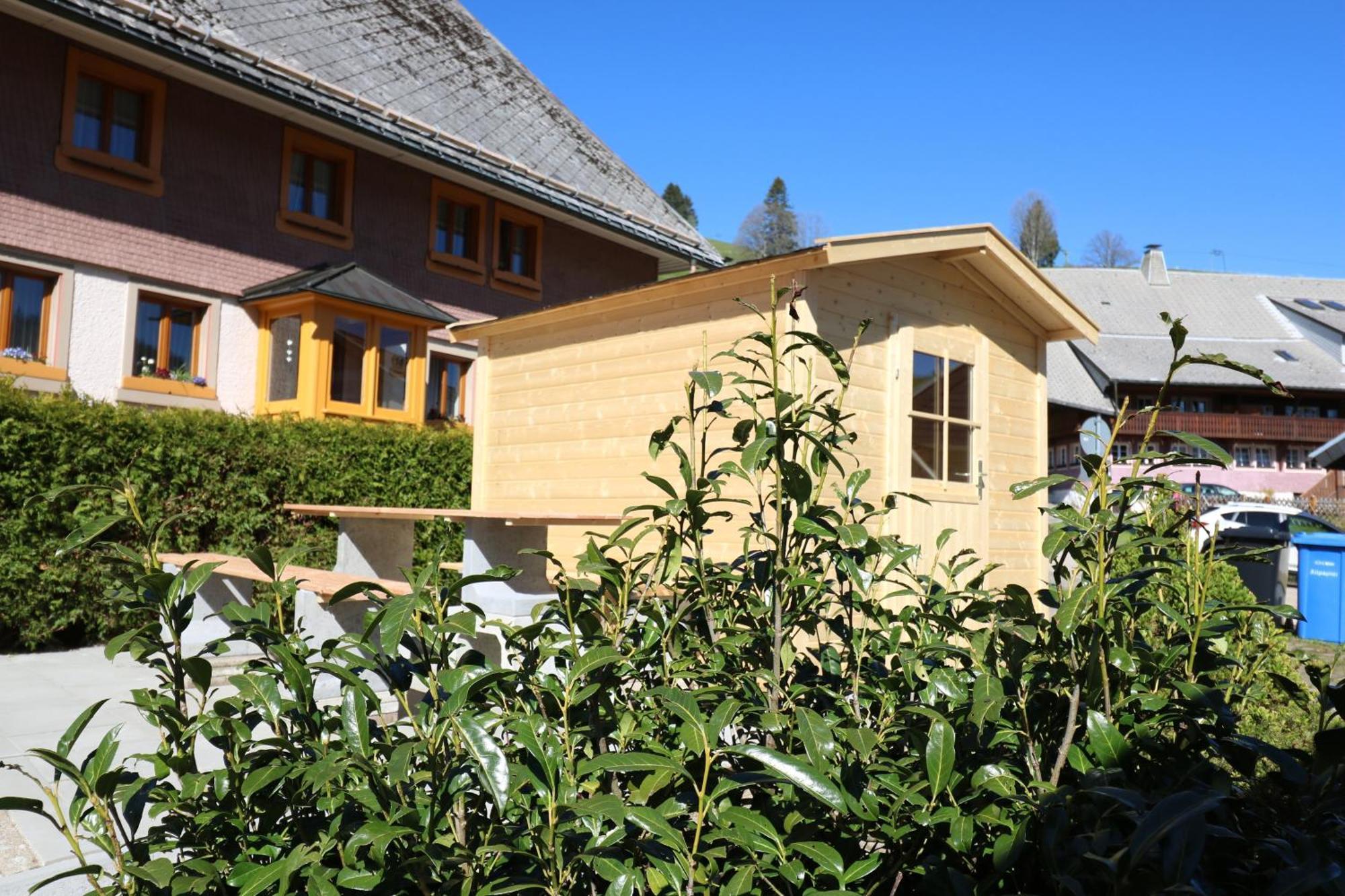 Fewo Schwarzwaldblick, 3 Schlafzimmer Todtnau-Muggenbrunn, Liftverbund Feldberg Extérieur photo