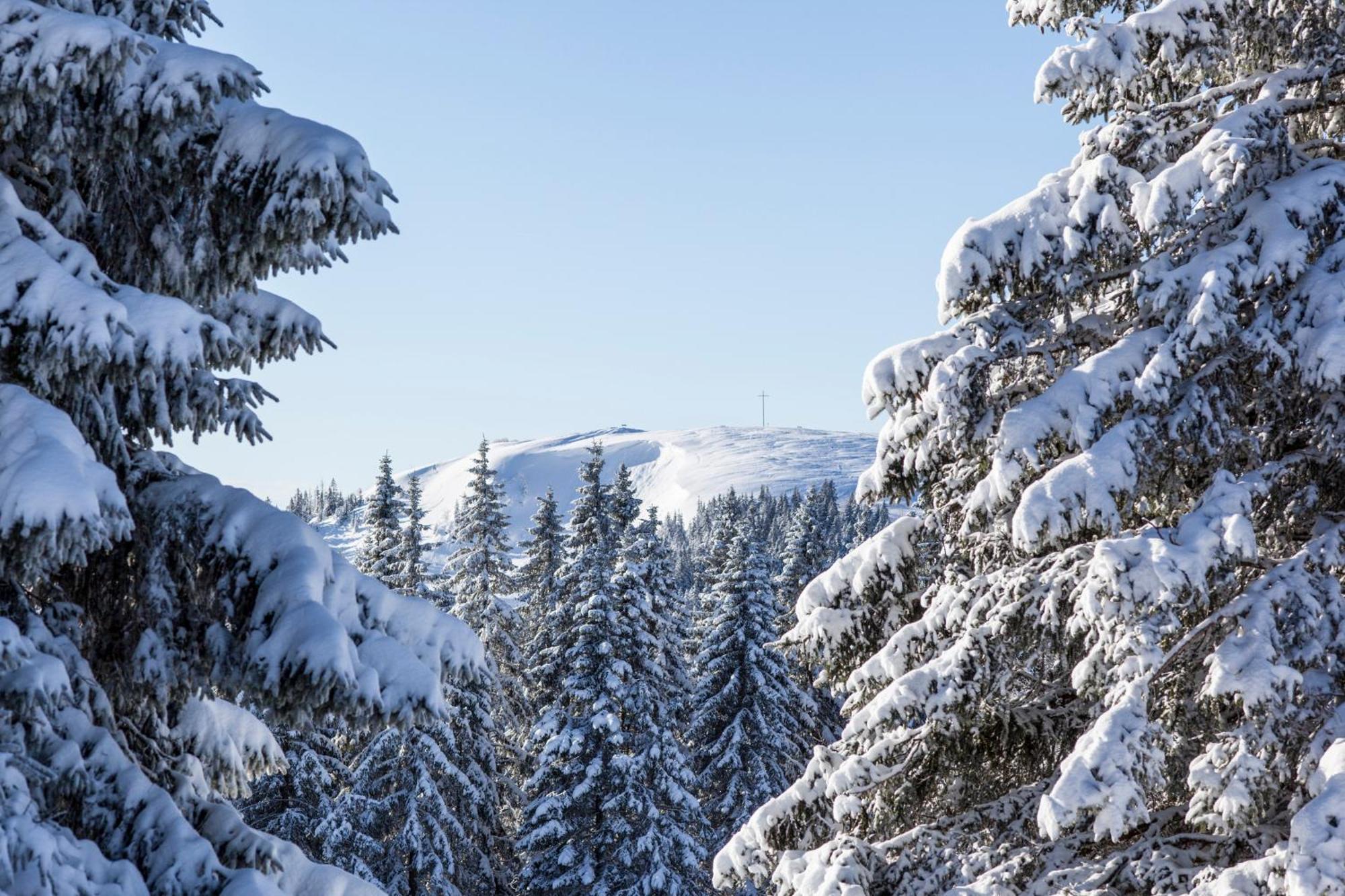 Fewo Schwarzwaldblick, 3 Schlafzimmer Todtnau-Muggenbrunn, Liftverbund Feldberg Extérieur photo