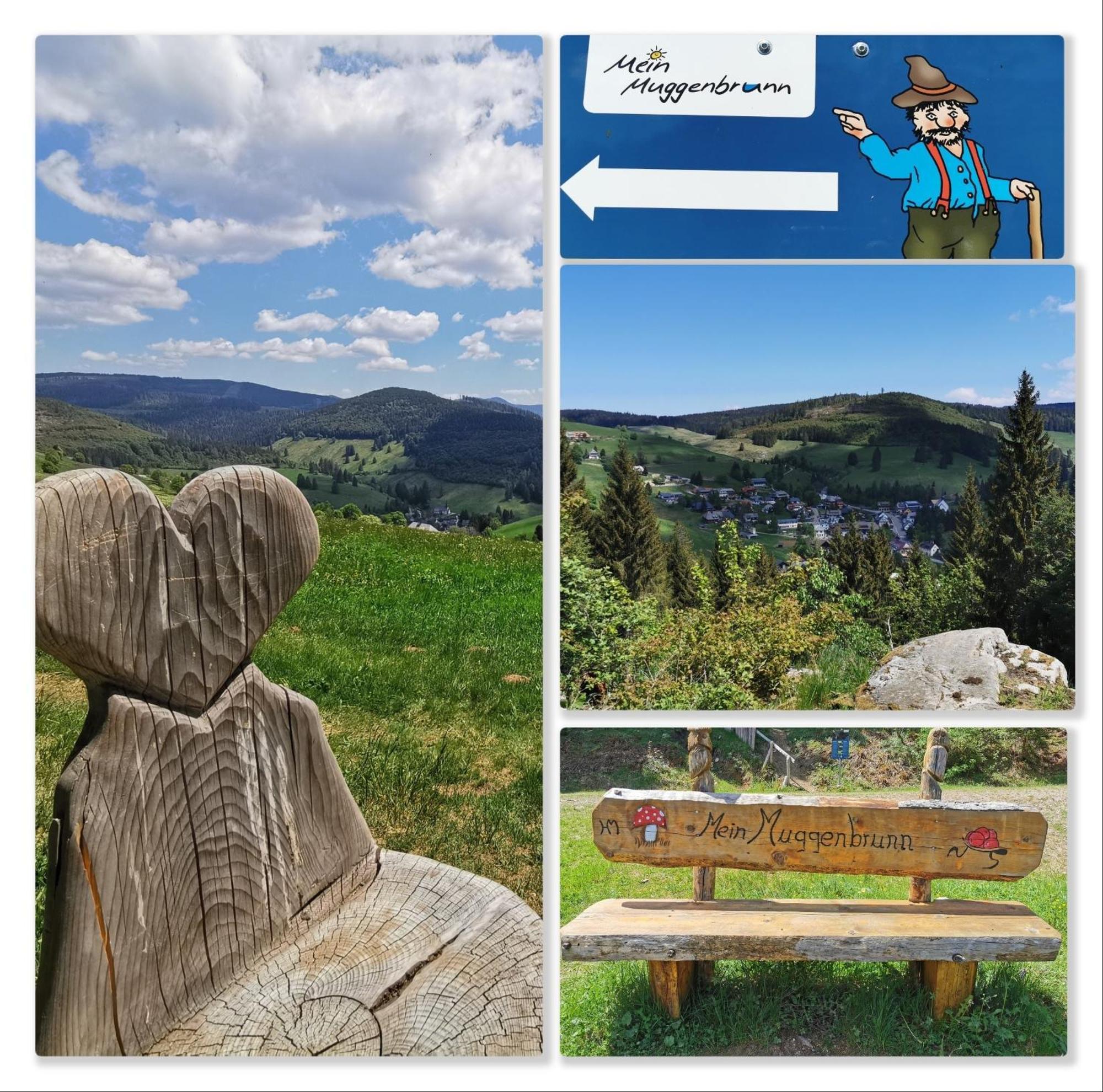 Fewo Schwarzwaldblick, 3 Schlafzimmer Todtnau-Muggenbrunn, Liftverbund Feldberg Extérieur photo